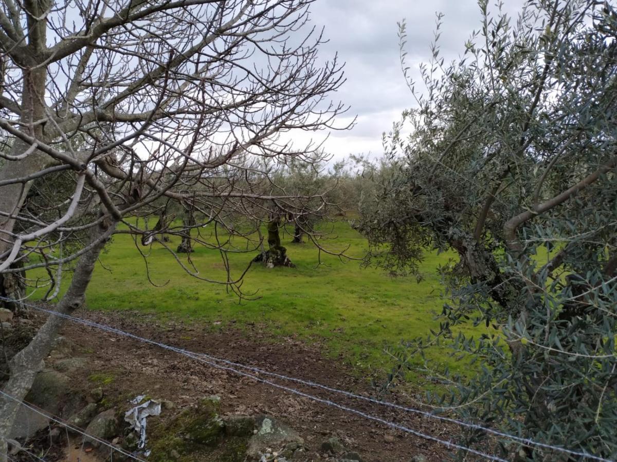 Casa Rural La Picota Valverde de la Vera Kültér fotó