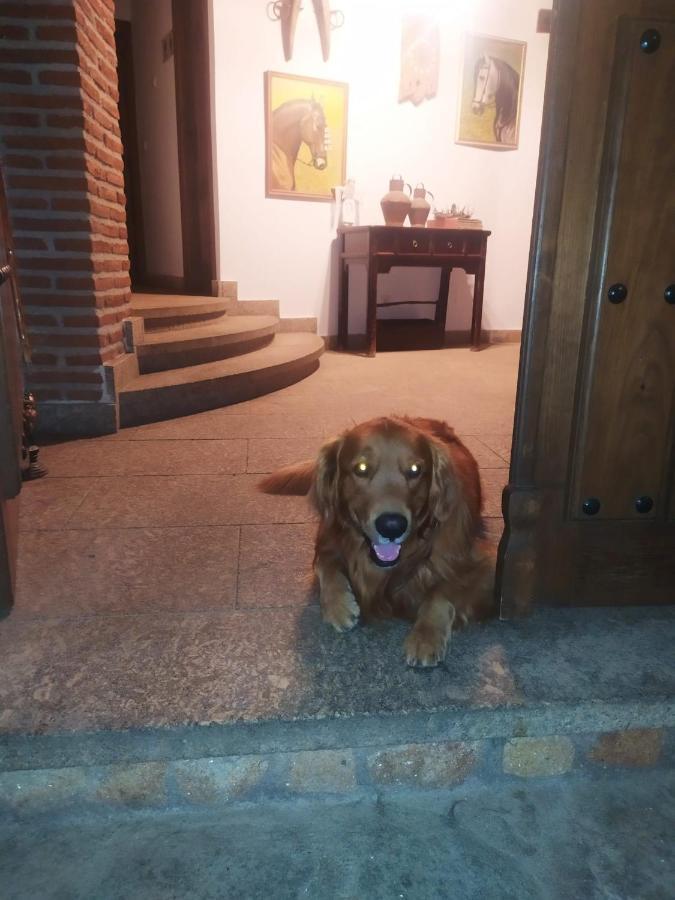 Casa Rural La Picota Valverde de la Vera Kültér fotó