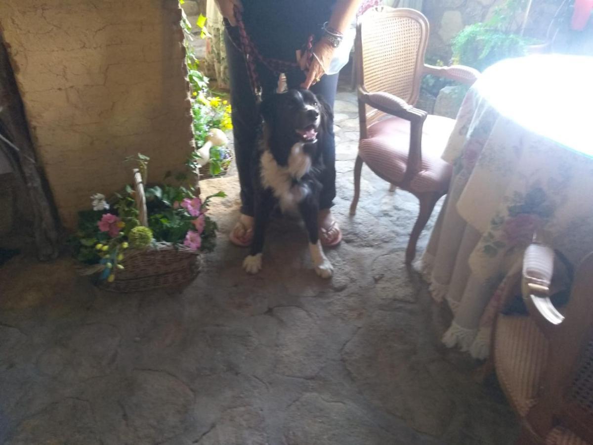 Casa Rural La Picota Valverde de la Vera Kültér fotó